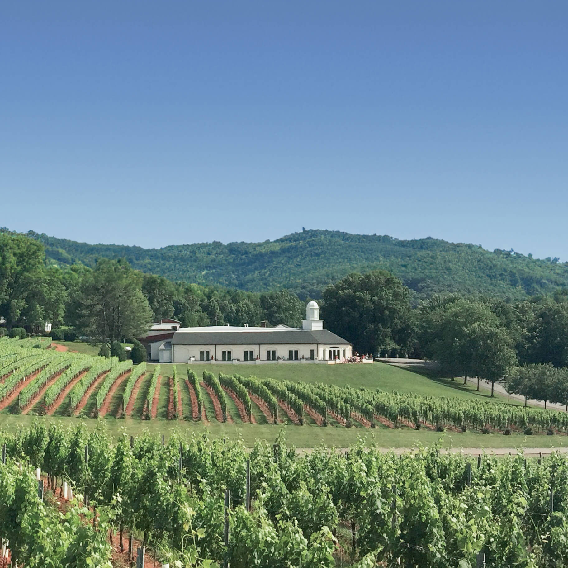 Vafours Vineyard & Winery